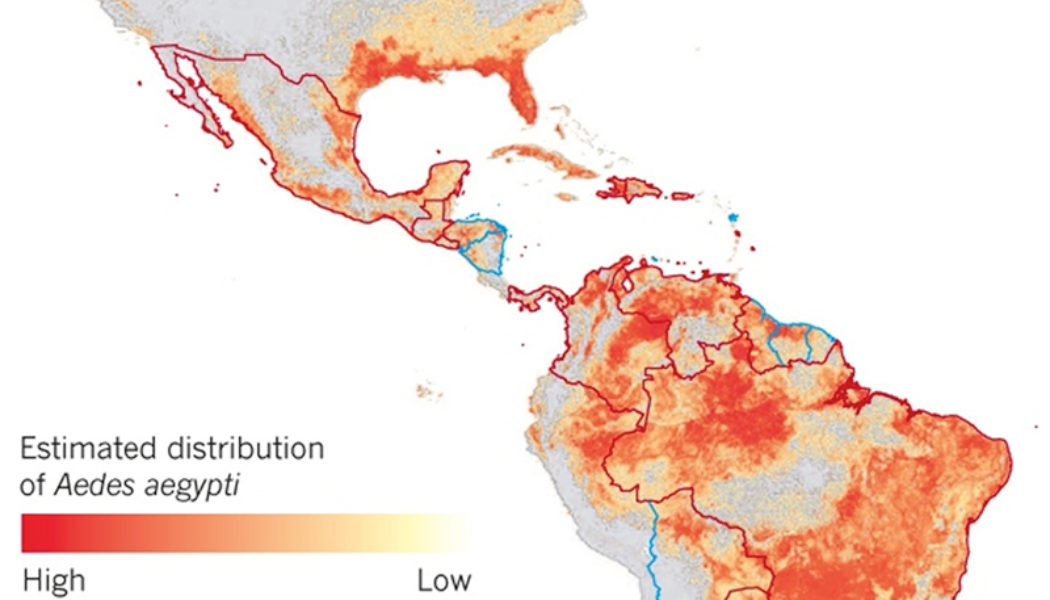 Zika virus could infect four million people in the Americas – and has ‘explosive pandemic potential’