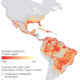 Zika virus could infect four million people in the Americas – and has ‘explosive pandemic potential’