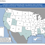 Several US states report Zika virus infection
